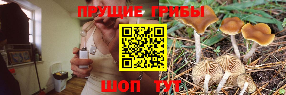 Галлюциногенные грибы ЛСД Печора